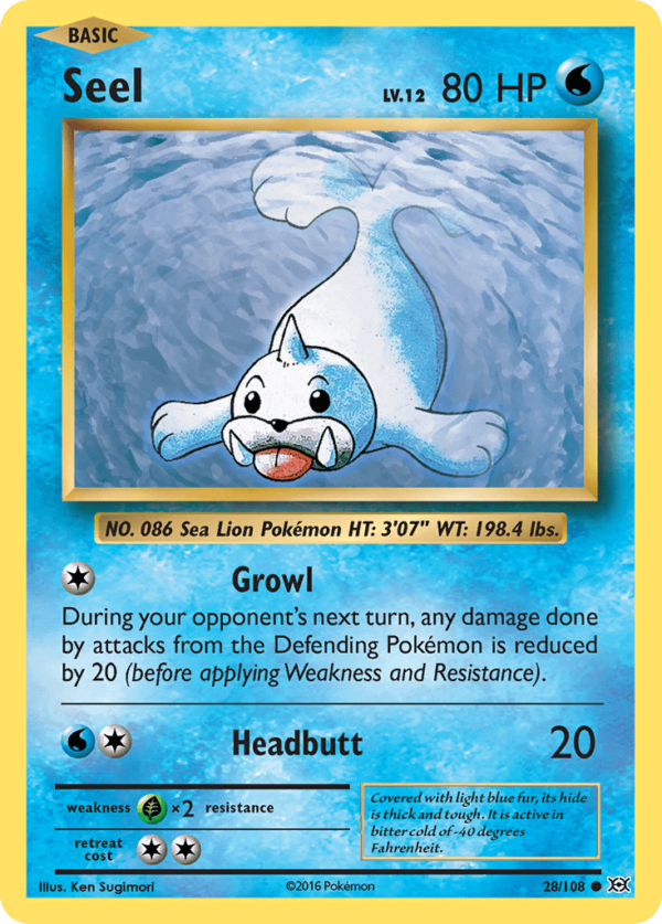 28/108 Seel Common Evolutions