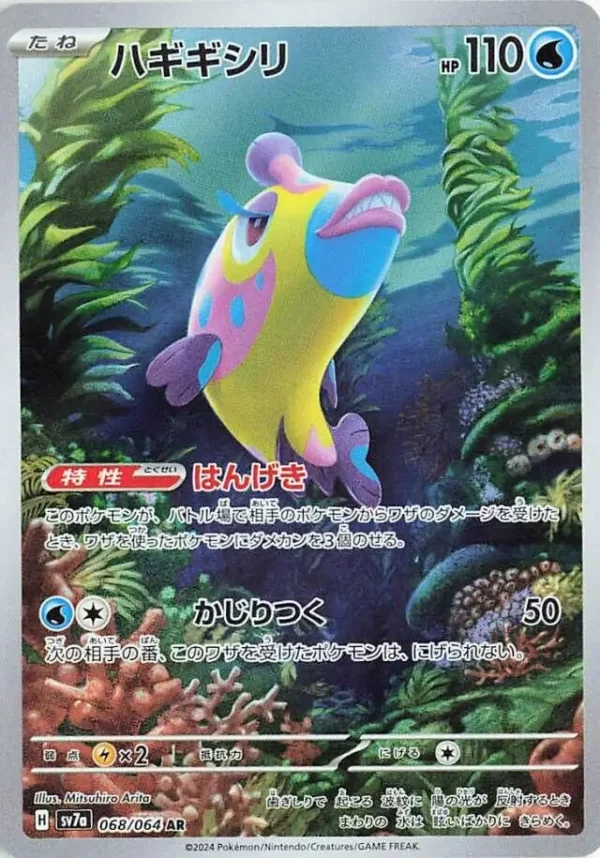 68/64 Bruxish Paradise Dragona